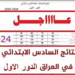 رابط نتائج السادس الابتدائي 2024 الكرخ الأولى تنزيل PDF موقع نتائجنا